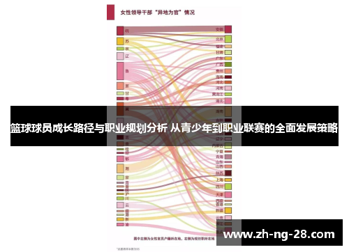 篮球球员成长路径与职业规划分析 从青少年到职业联赛的全面发展策略