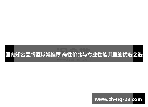 国内知名品牌篮球架推荐 高性价比与专业性能并重的优选之选