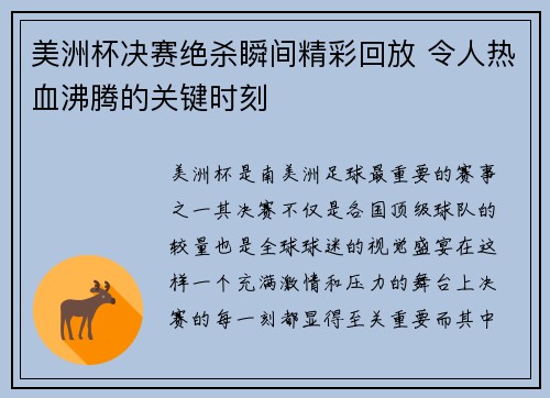 美洲杯决赛绝杀瞬间精彩回放 令人热血沸腾的关键时刻