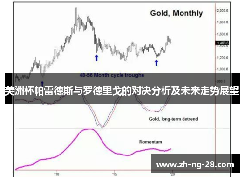 美洲杯帕雷德斯与罗德里戈的对决分析及未来走势展望