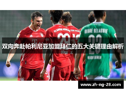 双向奔赴帕利尼亚加盟拜仁的五大关键理由解析