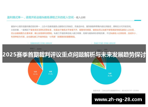 2025赛季首期裁判评议重点问题解析与未来发展趋势探讨