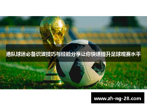 港队球迷必备识波技巧与经验分享让你快速提升足球观赛水平