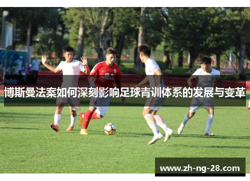 博斯曼法案如何深刻影响足球青训体系的发展与变革