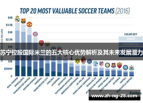 苏宁控股国际米兰的五大核心优势解析及其未来发展潜力