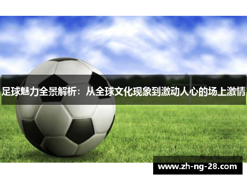 足球魅力全景解析：从全球文化现象到激动人心的场上激情
