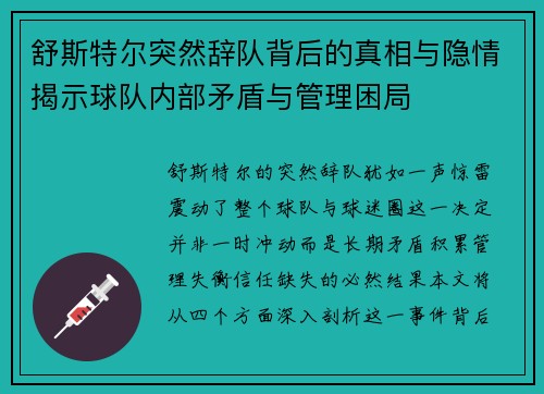舒斯特尔突然辞队背后的真相与隐情揭示球队内部矛盾与管理困局